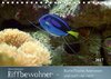 Buchcover Riffbewohner - Bunte Fische, Anemonen und noch viel mehrAT-Version  (Tischkalender 2017 DIN A5 quer)