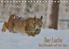 Buchcover Der Luchs - Dem Pinselohr auf der Spur (Tischkalender 2017 DIN A5 quer)