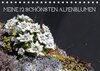 Buchcover Meine 12 schönsten AlpenblumenAT-Version  (Tischkalender 2017 DIN A5 quer)