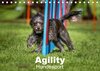 Buchcover Agility Hundesport (Tischkalender 2017 DIN A5 quer)