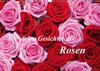 Buchcover Die vielen Gesichter der Rosen (Wandkalender 2017 DIN A3 quer)