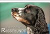Buchcover Unsere Freunde, die RassehundeAT-Version  (Wandkalender 2017 DIN A2 quer)