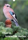 Buchcover Vögel im heimischen Garten (Wandkalender 2017 DIN A4 hoch)