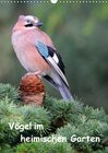 Buchcover Vögel im heimischen Garten (Wandkalender 2017 DIN A3 hoch)