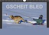 Buchcover GSCHEIT BLED - Humorfotografie (Wandkalender 2017 DIN A4 quer)