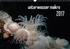 Buchcover unterwasser makro 2017 (Wandkalender 2017 DIN A3 quer)