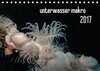 Buchcover unterwasser makro 2017 (Tischkalender 2017 DIN A5 quer)