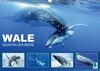 Buchcover Wale: Giganten der Meere (Wandkalender 2017 DIN A3 quer)