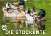 Buchcover Emotionale Momente: Die Stockente. (Wandkalender 2017 DIN A3 quer)