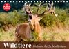 Buchcover Wildtiere. Heimische Schönheiten (Tischkalender 2017 DIN A5 quer)