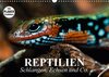 Buchcover Reptilien. Schlangen, Echsen und Co. (Wandkalender 2017 DIN A3 quer)