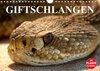 Buchcover Giftschlangen (Wandkalender 2017 DIN A4 quer)
