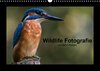 Buchcover Wildlife Fotografie (Wandkalender 2017 DIN A3 quer)