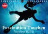 Buchcover Faszination Tauchen. Neptuns Reich (Tischkalender 2017 DIN A5 quer)