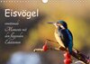 Buchcover Eisvögel - emotionale Momente mit den fliegenden Edelsteinen (Wandkalender 2017 DIN A4 quer)