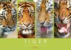 Buchcover Tiger: Gestreifte Jäger aus Asien (Wandkalender 2017 DIN A4 quer)