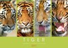 Buchcover Tiger: Gestreifte Jäger aus Asien (Wandkalender 2017 DIN A2 quer)