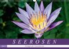 Buchcover Seerosen - Königin der Gartenteiche (Wandkalender 2017 DIN A3 quer)