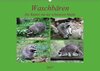 Buchcover Waschbären - Die Räuber mit der schwarzen Maske (Wandkalender 2017 DIN A2 quer)