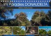 Buchcover Das Paradies Donaudelta (Tischkalender 2017 DIN A5 quer)