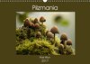 Buchcover Pilzmania (Wandkalender 2017 DIN A3 quer)