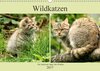 Buchcover Wildkatzen - Die lautlosen Jäger des Waldes (Wandkalender 2017 DIN A3 quer)