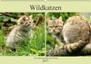Buchcover Wildkatzen - Die lautlosen Jäger des Waldes (Wandkalender 2017 DIN A2 quer)