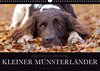 Buchcover Faszination Jagdhund - Kleiner Münsterländer (Wandkalender 2017 DIN A3 quer)