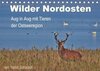 Buchcover Wilder Nordosten - Aug in Aug mit Tieren der Ostseeregion (Tischkalender 2017 DIN A5 quer)
