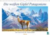 Buchcover Die weißen Gipfel Patagoniens (Wandkalender 2018 DIN A4 quer)