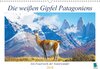 Buchcover Die weißen Gipfel Patagoniens (Wandkalender 2018 DIN A3 quer)
