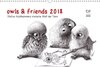 Buchcover owls & friends 2018 (Wandkalender 2018 DIN A3 quer)