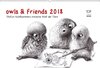 Buchcover owls & friends 2018 (Wandkalender 2018 DIN A2 quer)