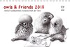 Buchcover owls & friends 2018 (Tischkalender 2018 DIN A5 quer)