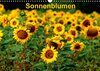 Buchcover Sonnenblumen (Wandkalender 2018 DIN A3 quer)