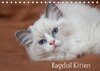 Buchcover Ragdoll Kitten (Tischkalender 2018 DIN A5 quer)