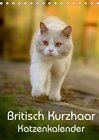 Buchcover Britisch Kurzhaar Katzenkalender (Tischkalender 2018 DIN A5 hoch)