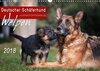 Buchcover Deutscher Schäferhund - Welpen / CH-Version (Wandkalender 2018 DIN A3 quer)