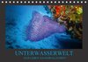 Buchcover Unterwasserwelt - Das Leben am Korallenriff (Tischkalender 2018 DIN A5 quer)