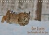 Buchcover Der Luchs - Dem Pinselohr auf der Spur (Tischkalender 2018 DIN A5 quer)