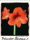 Buchcover Polacolor Blumen 1 (Tischkalender 2018 DIN A5 hoch)