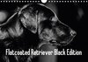 Buchcover Flatcoated Retriever Black Edition (Wandkalender 2018 DIN A4 quer)
