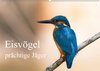 Buchcover Eisvögel - prächtige Jäger (Wandkalender 2018 DIN A2 quer)