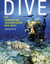 Buchcover Dive