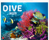 Buchcover Dive 2025