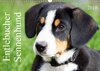 Buchcover Entlebucher Sennenhund (Wandkalender 2018 DIN A3 quer)