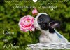 Buchcover Französische Bulldogge - Clown auf 4 Pfoten (Wandkalender 2018 DIN A4 quer)