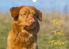 Buchcover Toll, toll, Toller (Wandkalender 2018 DIN A4 quer)