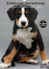 Buchcover Entlebucher Sennenhunde begleiten Sie durch das Jahr (Wandkalender 2018 DIN A3 hoch)