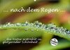 Buchcover ... nach dem Regen ... die Natur erstrahlt in glitzernder Schönheit (Wandkalender 2018 DIN A2 quer)